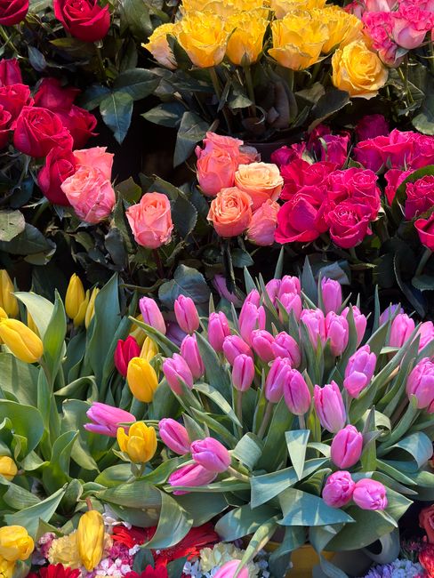 A vibrant array of fresh flowers including pink and yellow tulips with closed buds and open blooms, arranged closely together. The tulips have smooth, elongated petals and are surrounded by lush green